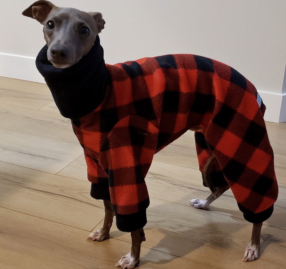 Whippet clothing Whippet clothes Whippet onesie pyjamas Etsy