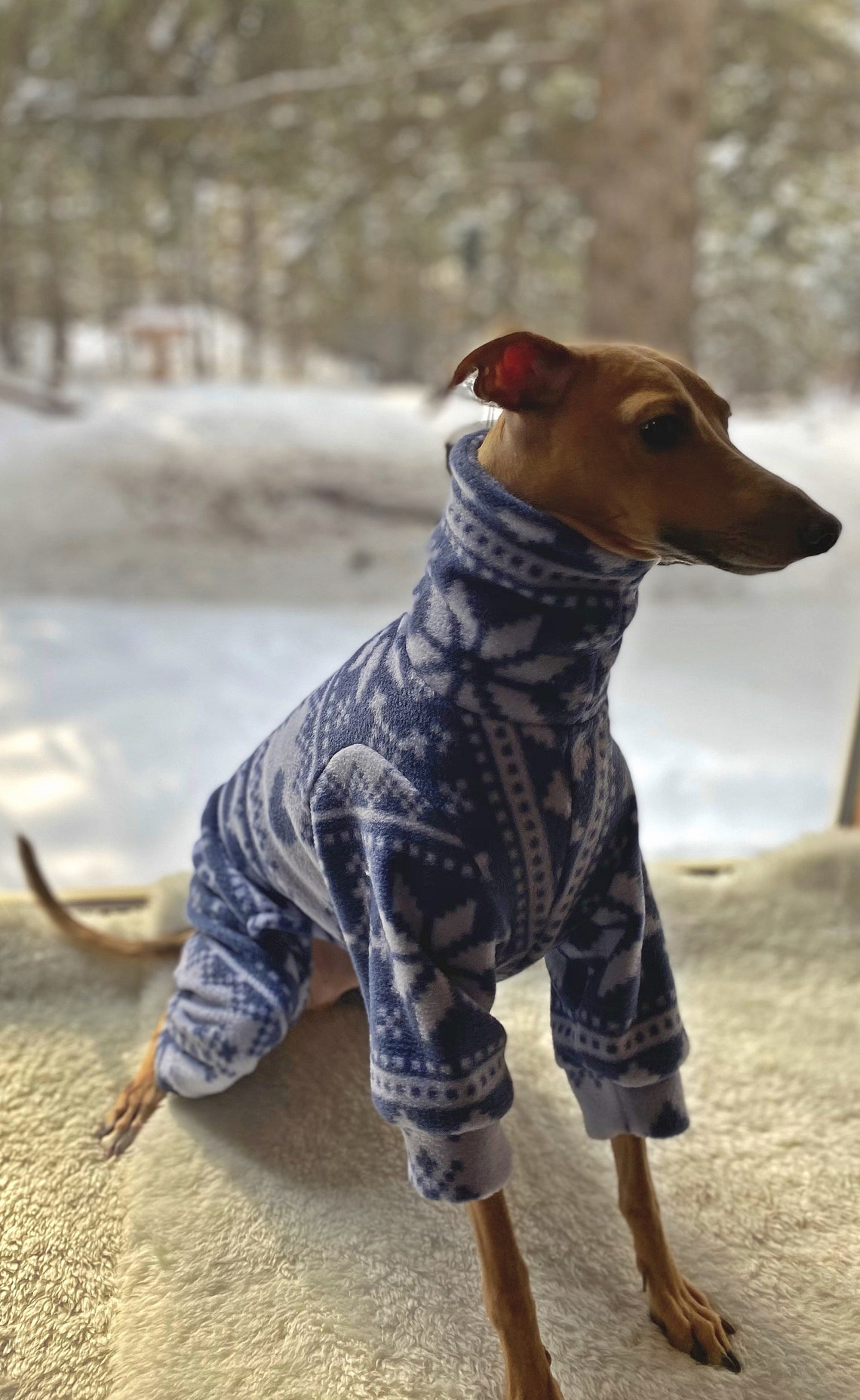 Whippet clothing Whippet onesies Whippet Whippet pyjamas Etsy