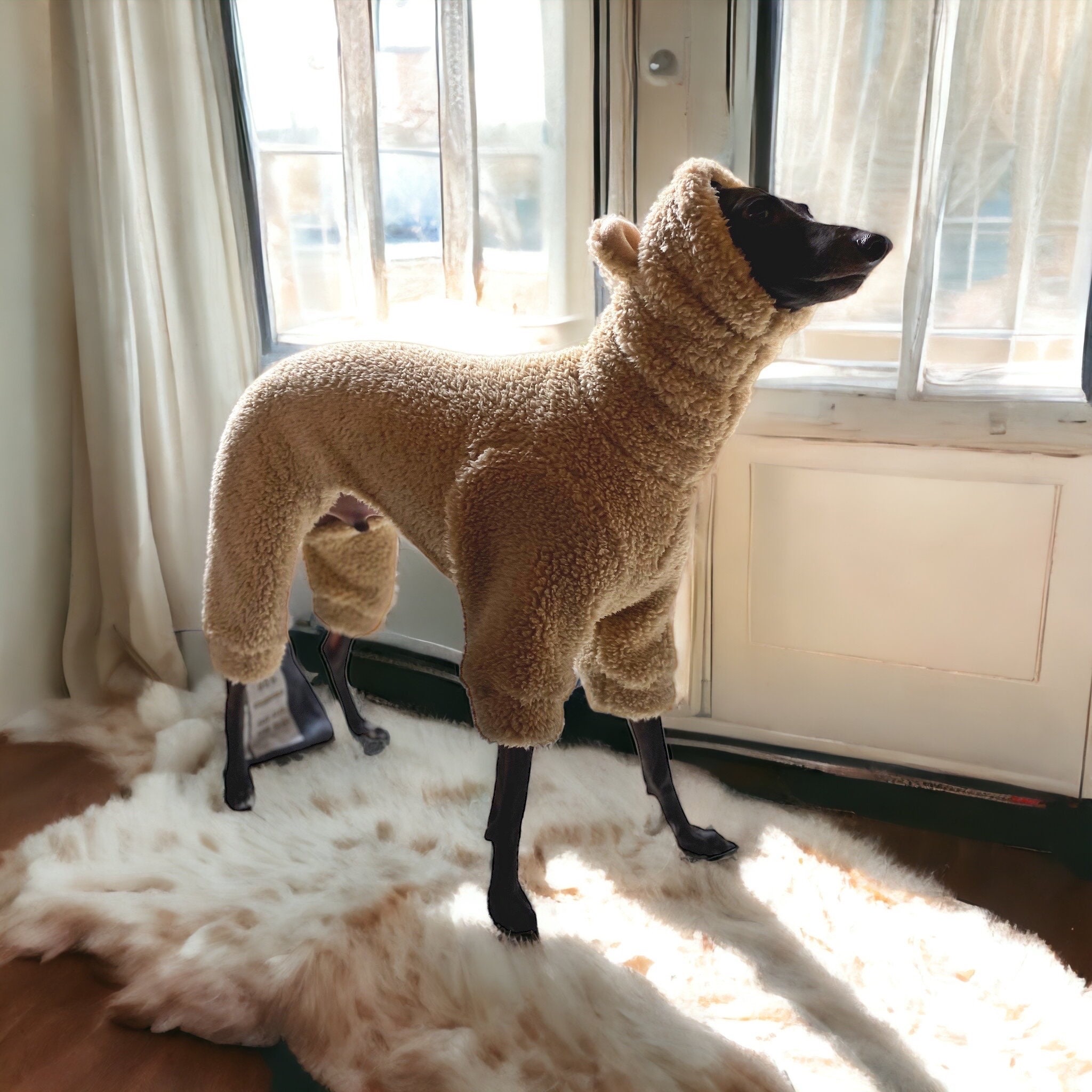 Dog top ear cap