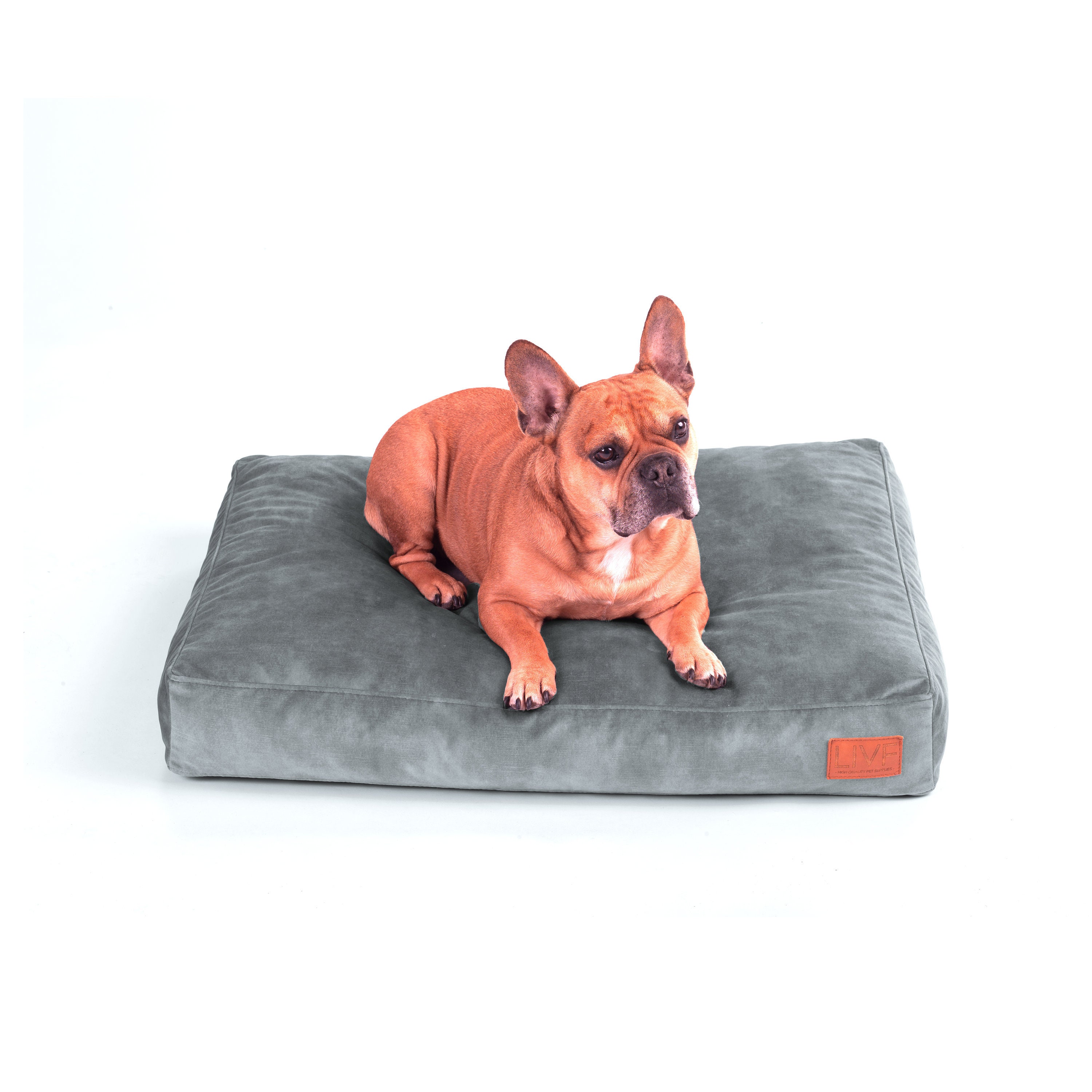 Luxury dog pillow Pip Washable velour fabric Dog bed for Etsy