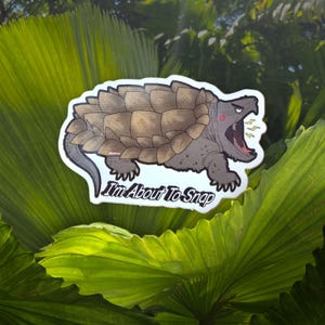Schnappschildkröte Aufkleber