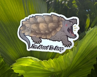 Snapping Turtle Stickers