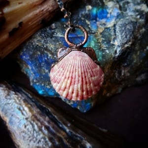 May include: A copper pendant featuring a pink and white seashell with a detailed, textured design. The pendant is hanging from a copper chain.