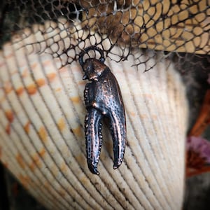 Crayfish claw, ethically sourced from my river. ElectroPlated in copper. Electroformed. Vulture culture. Alt jewelry. Gothic style. Dark