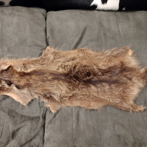 Vintage Raccoon Pelt