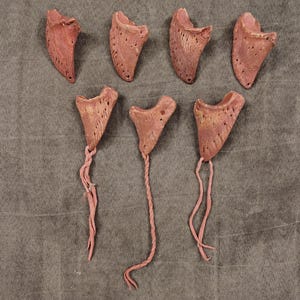 May include: Seven reddish-brown, organic-shaped objects with textured surfaces. Four have attached pink, twisted cords. The objects are arranged on a gray, textured background. The shapes resemble small, open-mouthed forms.