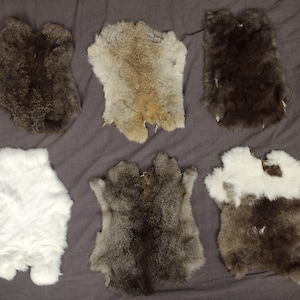 Rabbit Pelt Lot