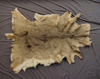 May include: A natural tan animal hide with dense, soft fur. The pelt features an irregular, organic shape with pointed edges and a textured surface showing variations in hair length and color, ranging from light beige to a deeper, warm brown tone.