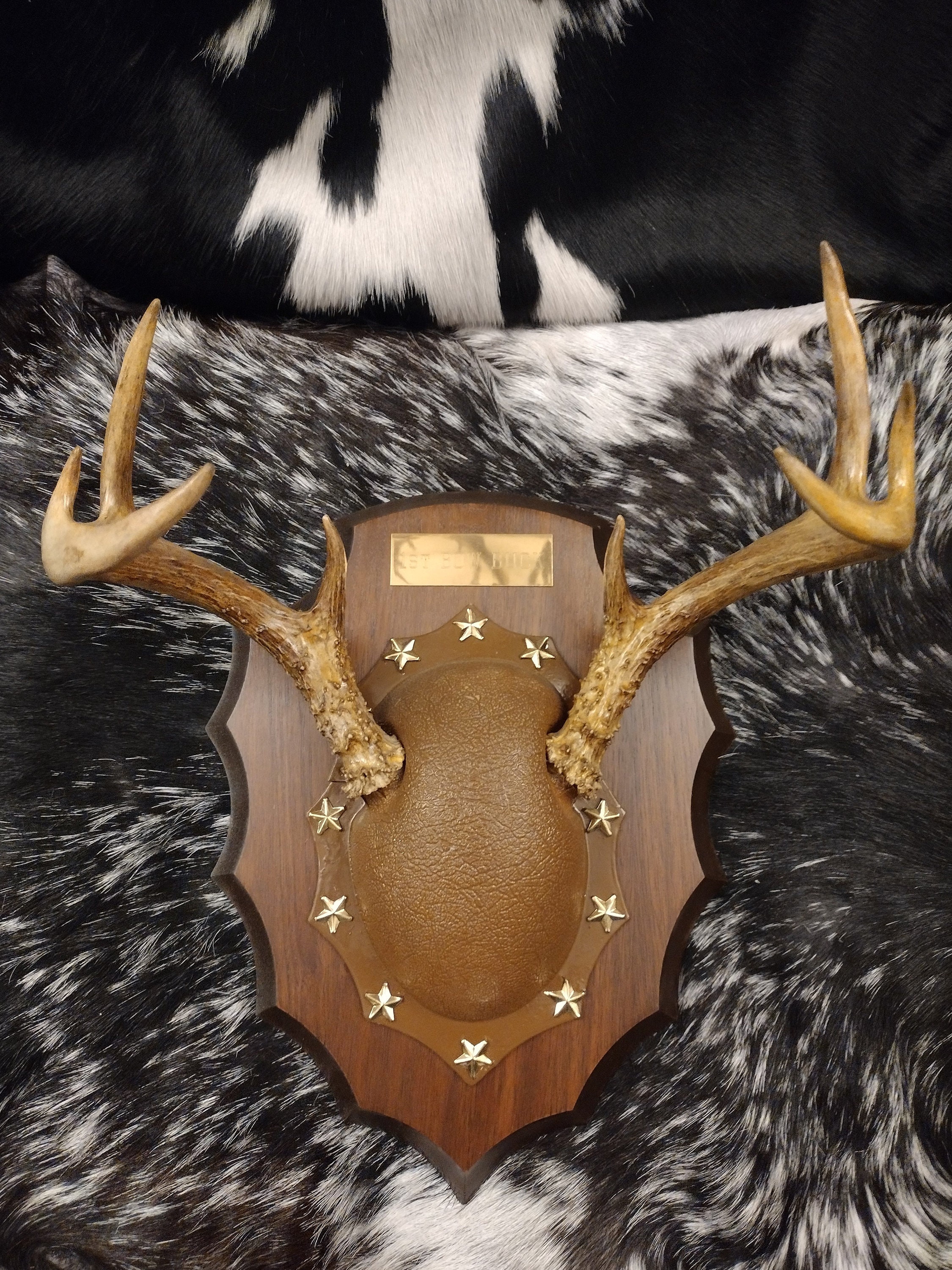 8 Point Deer Antler Mount Etsy Finland