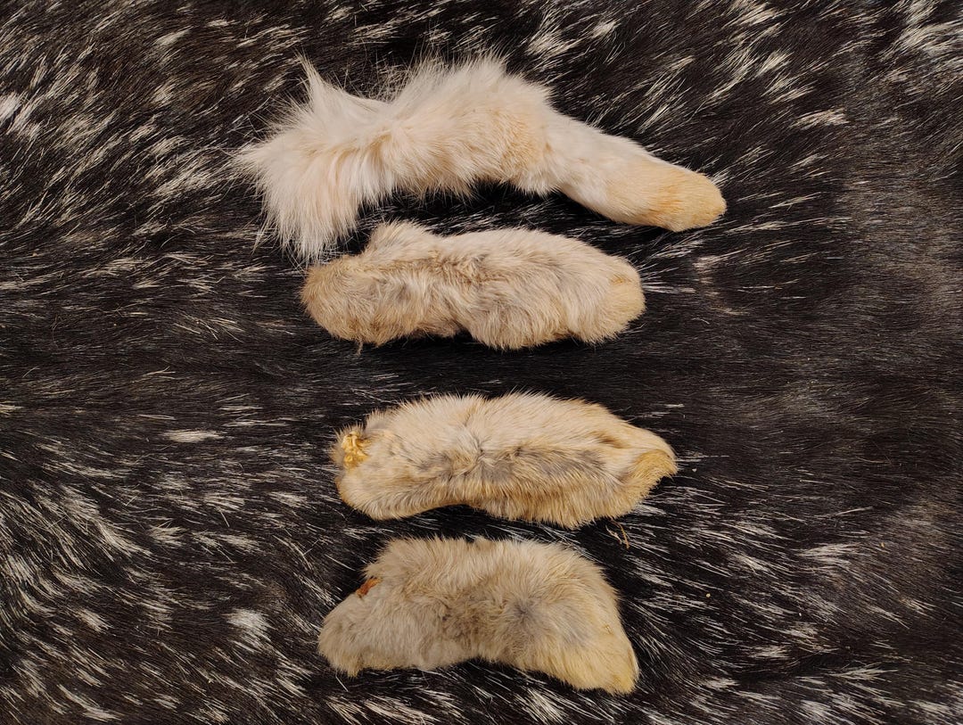 Rabbit Feet - Etsy