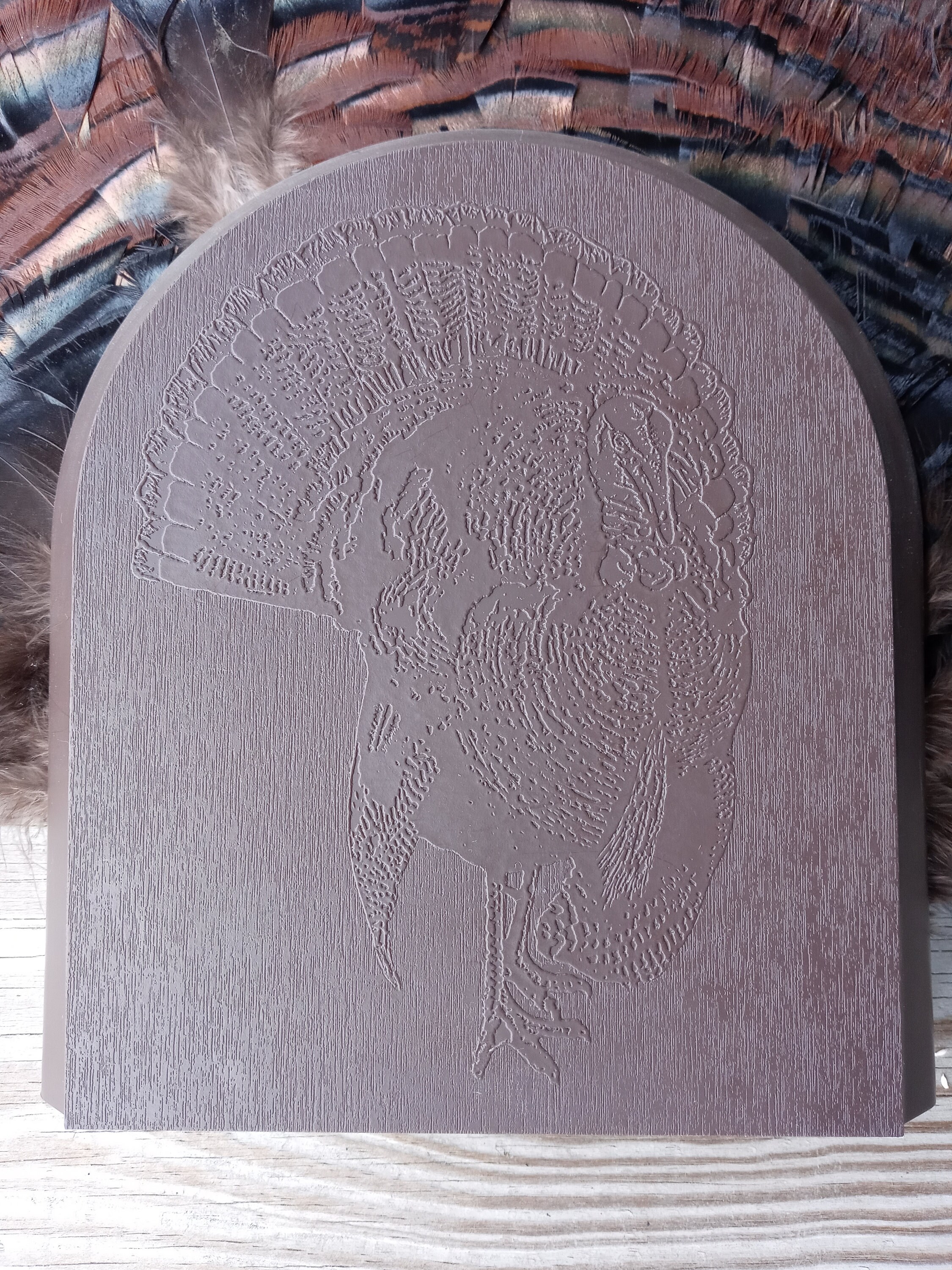 Turkey Fan Mount | Etsy