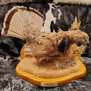 Grouse Wall Mount