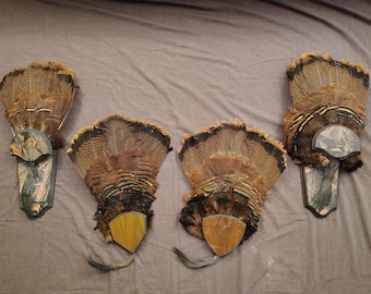 Turkey Fan Mount Lot