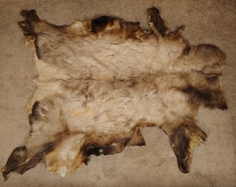 Elk Hide