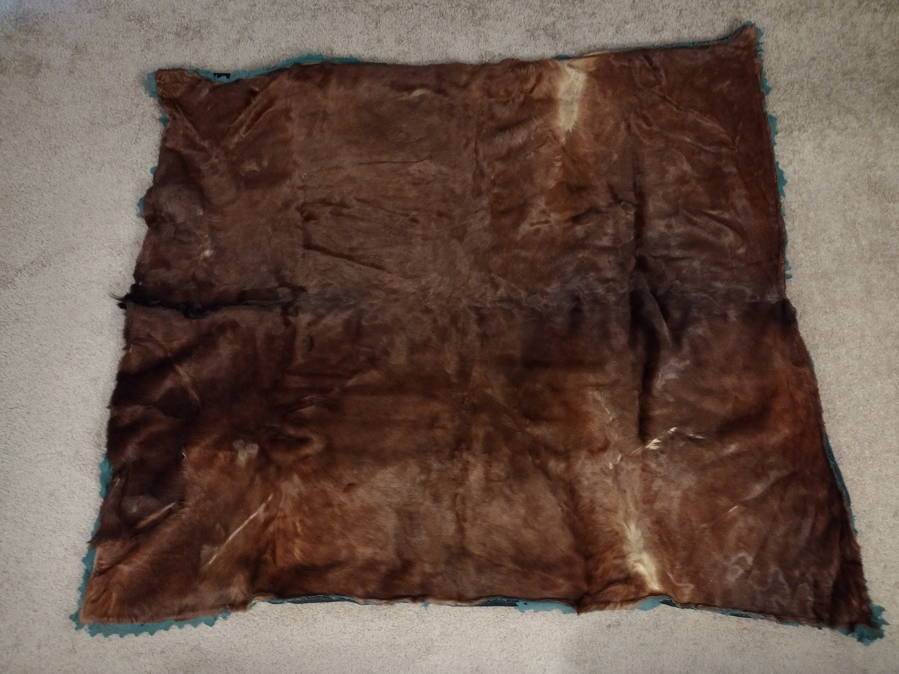 Antique carriage blanket hotsell