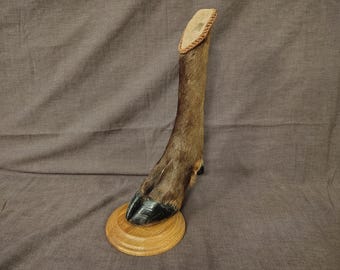 Hoof Mount