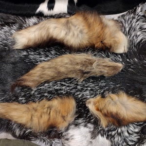 Coyote Tails