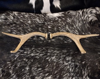 4 Point Deer Antlers - Matched Pair