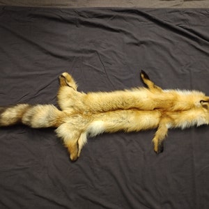 Fox Pelt - Craft Grade