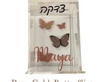 Personalized Acrylic Tzedakah Charity Box Lucite with Name for Boy Girl
