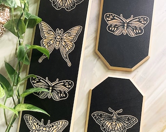 Woodcuts. Moths - Elongated Octagon