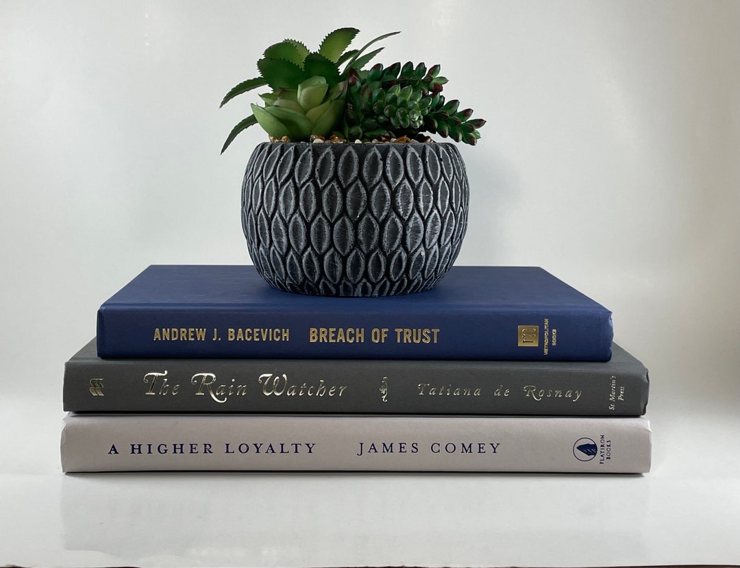 Decorative Book Set Navy Blue and Gray Home Decor Real Books for ...