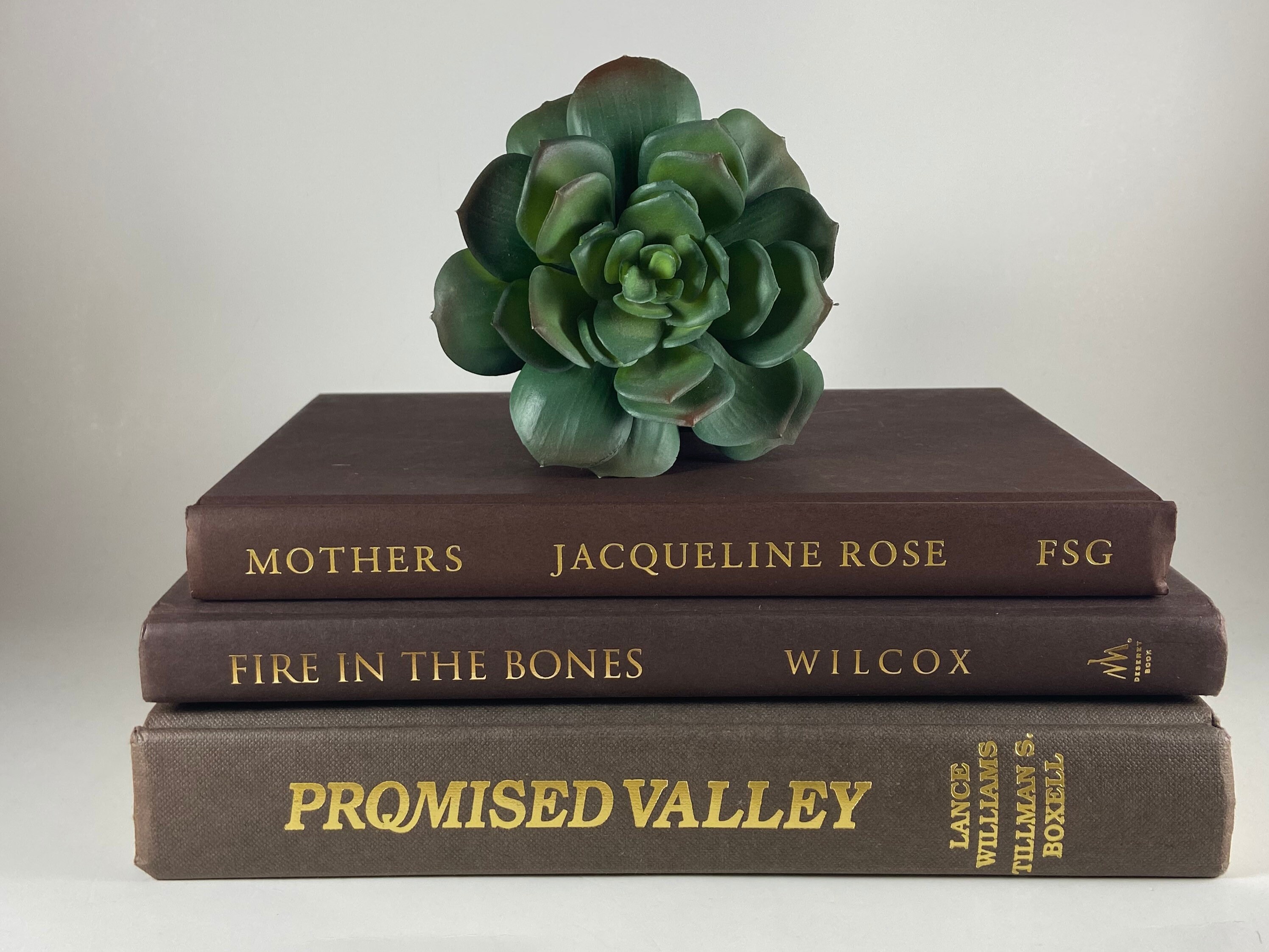 Decorative Book Set Brown Books Books for Home Decor Etsy