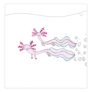 Axolotl Duet Carte piegate