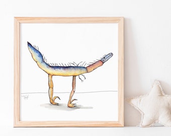 Velociraptor, Dinosaur Art Print