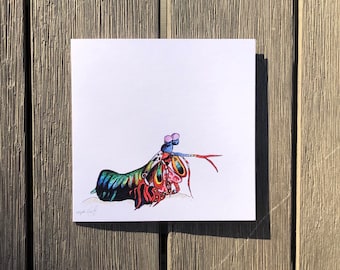 Peacock Mantis Shrimp Single Blank Card; Set of Three