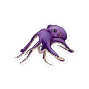 Pegatinas Octopus Kiss Cut, sin burbujas