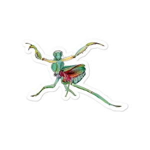 Mante religieuse Sticker