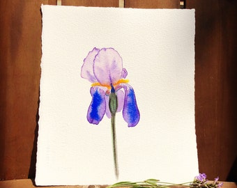 Kunstdruck von Original Iris Malerei