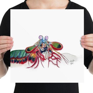 Peacock Mantis Shrimp Original Illustration #4, Giclee Print