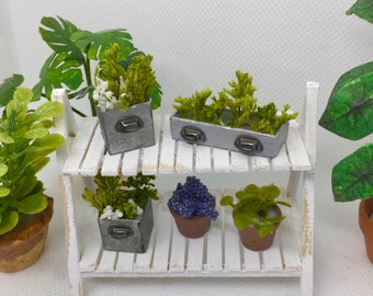 Miniature Dollhouse Garden Shelf with Potted Plants