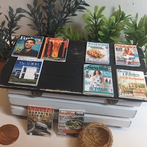 Revistas de casas de muñecas en miniatura