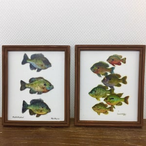 Miniature Dollhouse Framed Fish Art