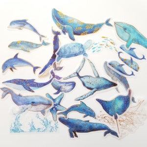 Sealife Stickers - Ocean Stickers - Whale Stickers - Dolphin Stickers - Sea Animal Stickers - Nautical Stickers - Penpal Gift