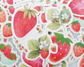 Strawberry Stickers (Red) - Fruit Planner Diary Sticker - Cute Fun Stickers