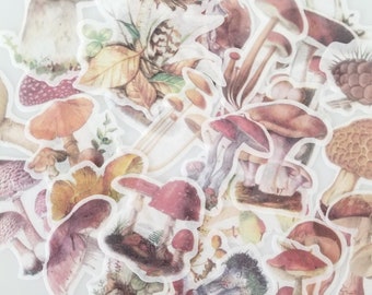 Realistic Mushroom Stickers - Woodland Stickers - Cottagecore Stickers - Mushroomcore Stickers - Nature Stickers - Penpal Gift