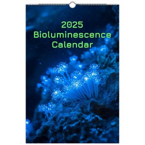 2025 Bioluminescence Wall Calendar