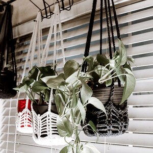 Crochet boho plant hanger