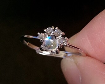 engagement ring dog toy