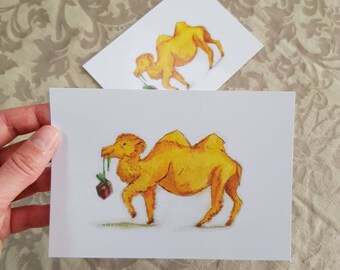 2xPostcard "Camel with Gift" DinA6 Birthday Card Greeting Card