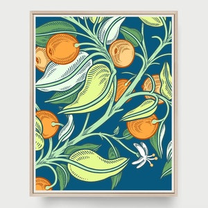 Oranges Art Print, Citrus Art, Giclee Fruit Print, Kitchen Art Print, Fruit Illustration, Blue and Orange Wall Art, Botanical, Orange Art