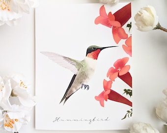 Hummingbird - Blank, Folded Note Cards - Pack of 5