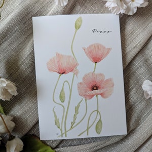 Poppy (Neuf) - Cartes de correspondance vierges pliées - Lot de 5