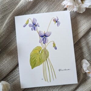 Violet (nieuw) - blanco, gevouwen notitiekaarten - pak van 5 inch