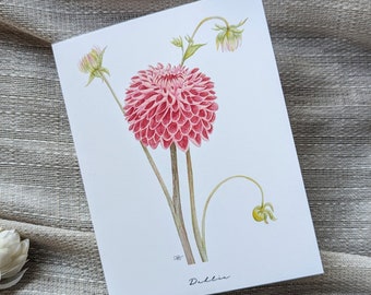 Dalia (Nueva) - Tarjetas de notas plegadas en blanco - Paquete de 5