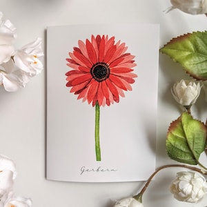 Gerbera - Blank, Klappkarten - 5er Pack